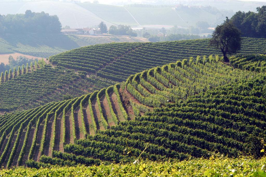 Cascina Arcangelo Raffaele Verduno Экстерьер фото